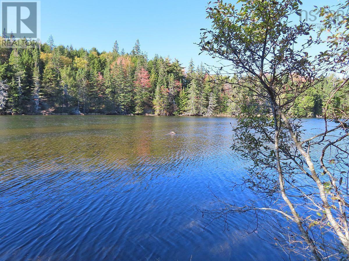 Washabuck Road, Washabuck Bridge, Nova Scotia  B2C 1N5 - Photo 5 - 202403446