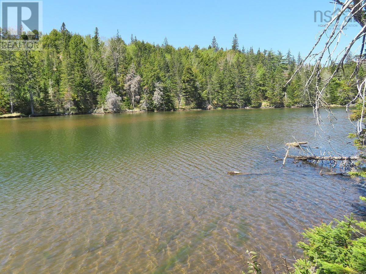 Washabuck Road, Washabuck Bridge, Nova Scotia  B2C 1N5 - Photo 8 - 202403446