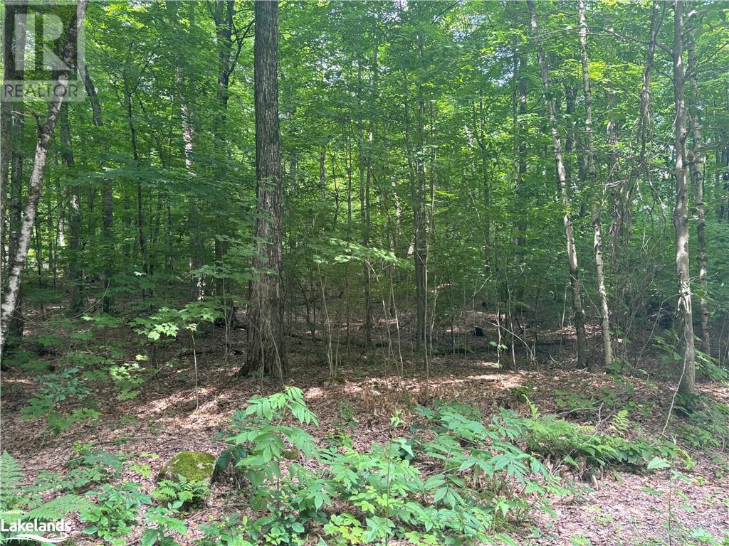 1 Anderson Rd Road, Tory Hill, Ontario  K0L 2Y0 - Photo 1 - 40545569