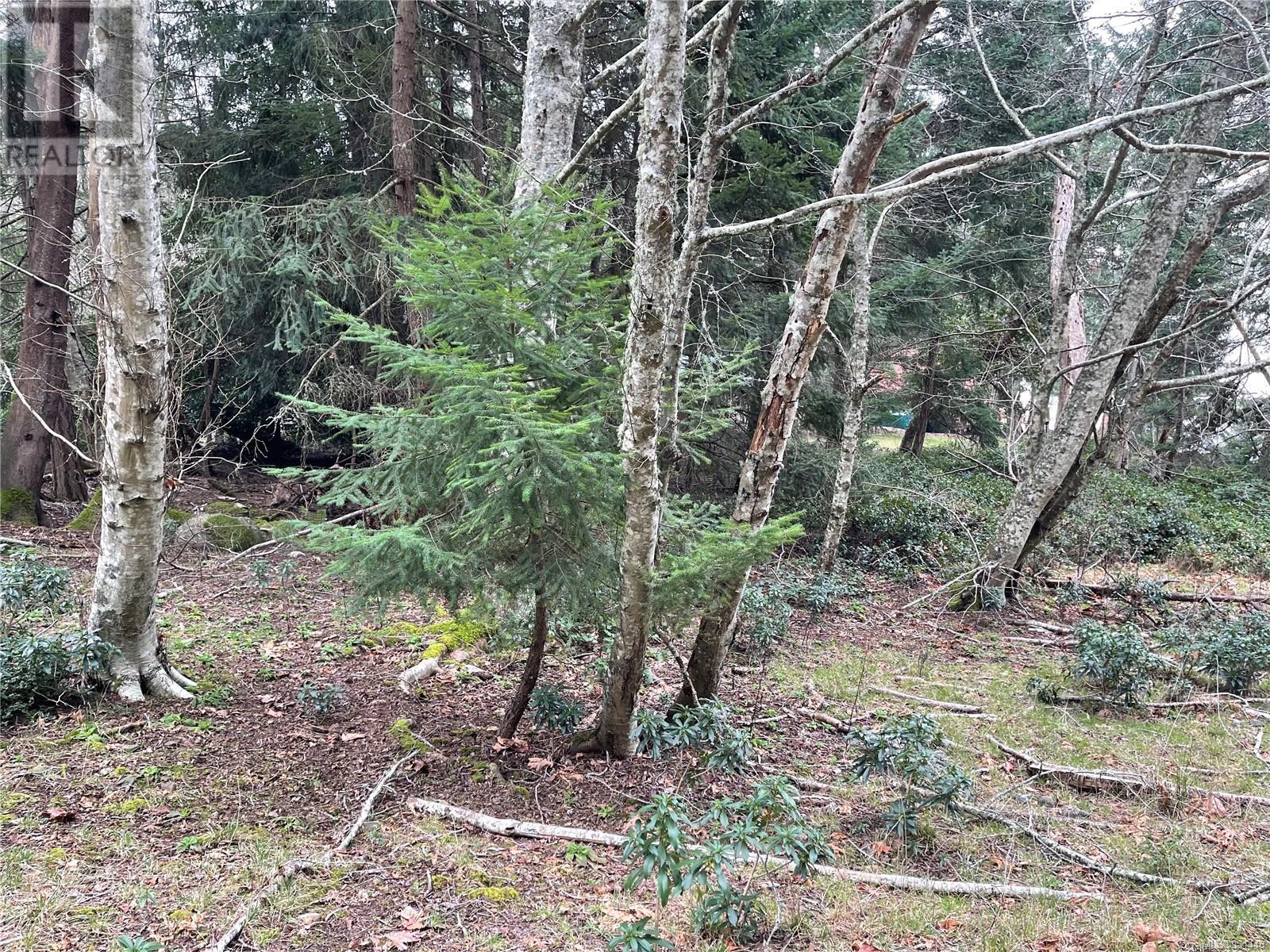 Property at LOT 102 Sockeye Dr image 4