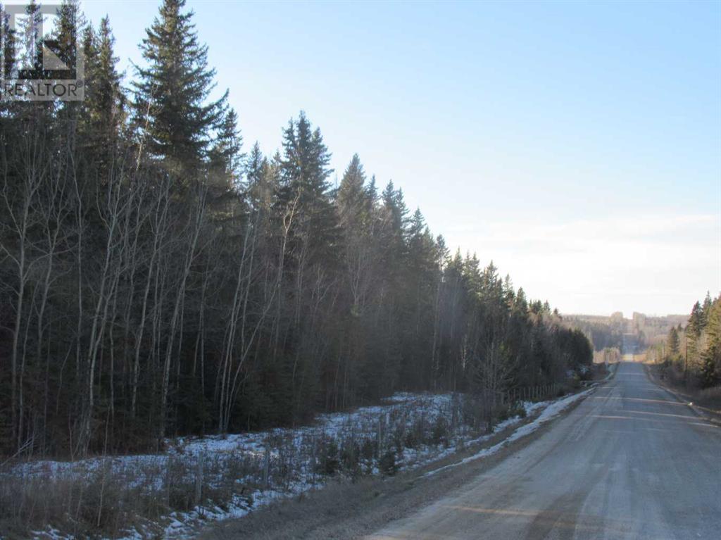 Township Road 41-0, Rural Clearwater County, Alberta  T4T 2A2 - Photo 5 - A2110481