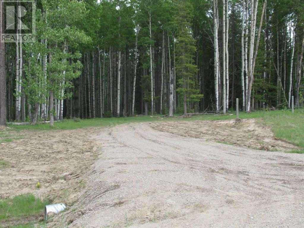 Cow Creek Road, Rural Clearwater County, Alberta  T4T 2A2 - Photo 4 - A2110498