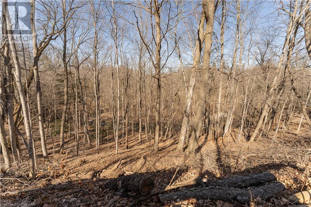 41 Clear Valley Drive, Tillsonburg, Ontario  N4G 4Y7 - Photo 45 - 40545955