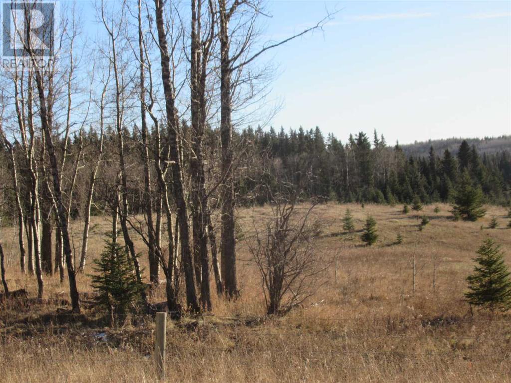 Township Road 41-0, Rural Clearwater County, Alberta  T4T 2A2 - Photo 2 - A2110667