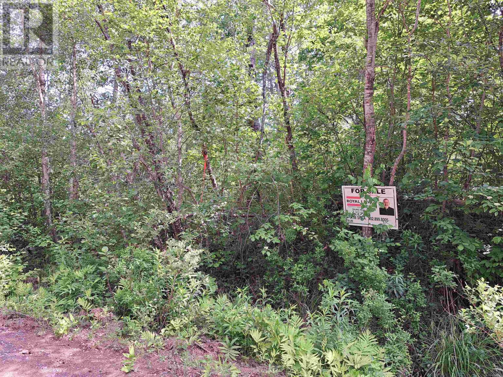 Jim Bailey Road, Keeble, Nova Scotia  B0K 1V0 - Photo 2 - 202403485