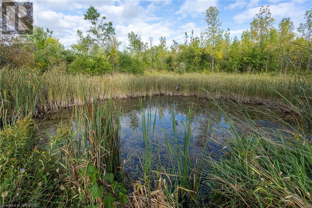 350297 Concession A, Meaford (Municipality), Ontario  N0H 1B0 - Photo 42 - 40546502
