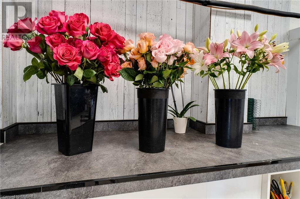 645 The Queensway, Toronto, Ontario  M8Y 1K6 - Photo 28 - 40544449