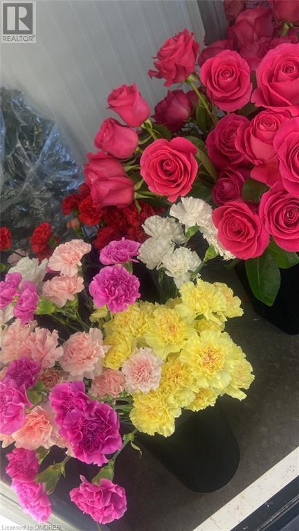 645 The Queensway, Toronto, Ontario  M8Y 1K6 - Photo 29 - 40544449