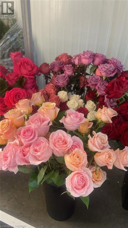 645 The Queensway, Toronto, Ontario  M8Y 1K6 - Photo 30 - 40544449