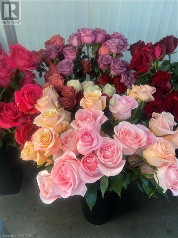 645 The Queensway, Toronto, Ontario  M8Y 1K6 - Photo 31 - 40544449