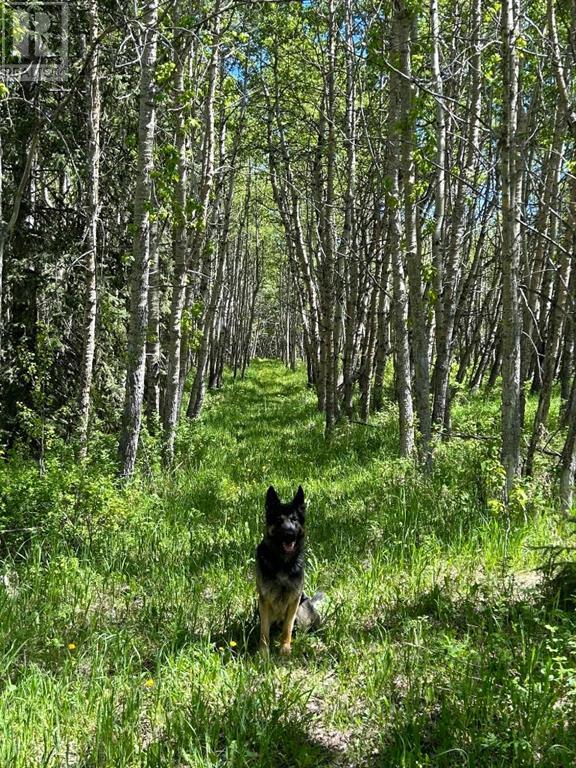 Lot 9 Elkstone Estates, rural rocky view county, Alberta