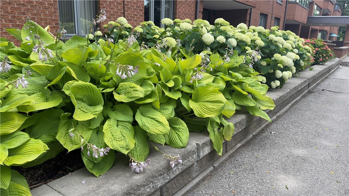 150 Wilson Street W, Unit #ph3, Hamilton, Ontario  L8R 1E2 - Photo 3 - H4186467