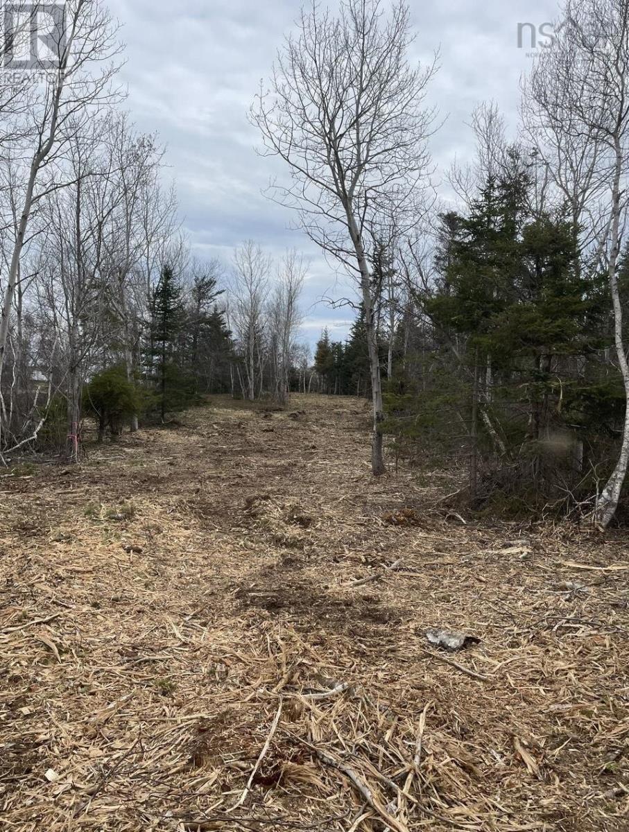 Lot 4 Shore Road, Lower Barneys River, Nova Scotia  B0K 1G0 - Photo 4 - 202403031