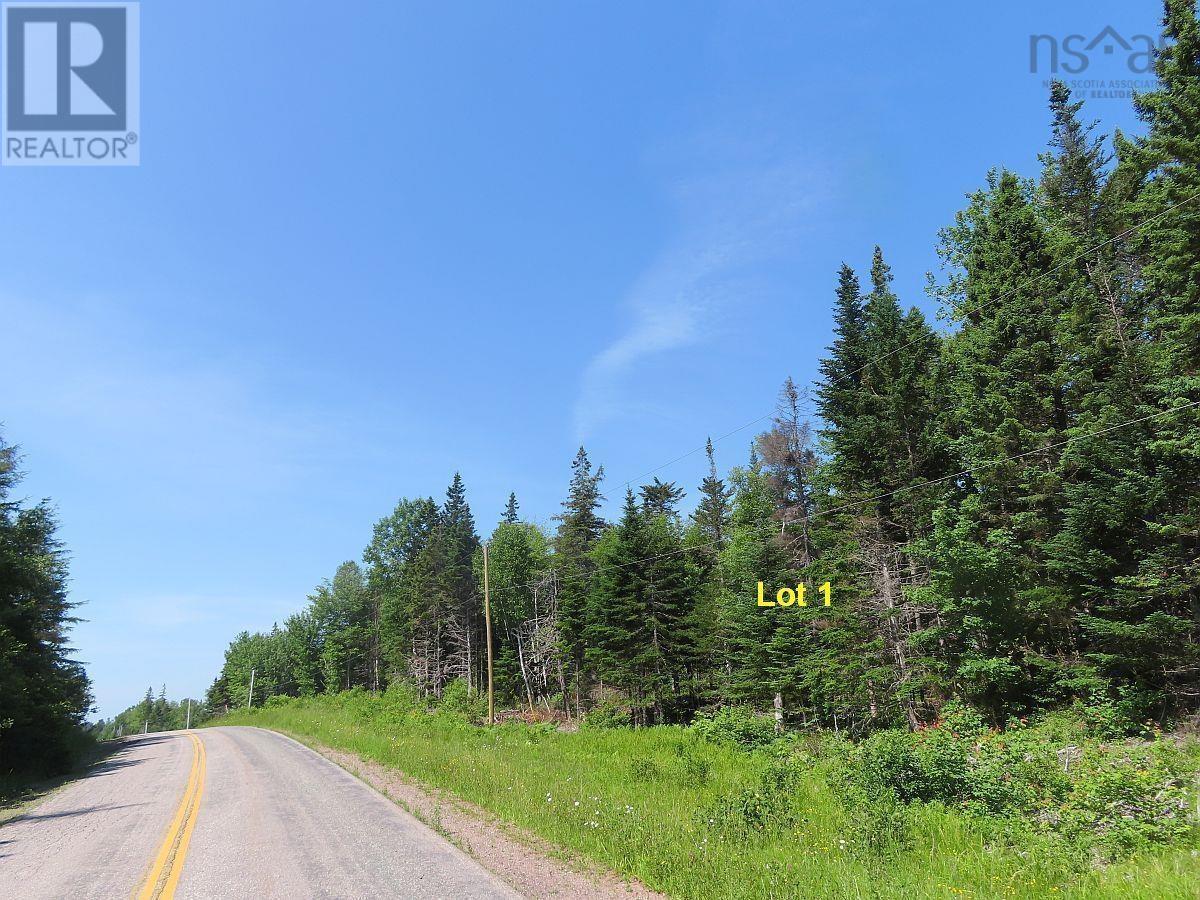 Washabuck Road, Upper Washabuck, Nova Scotia  B2C 1L7 - Photo 21 - 202403540