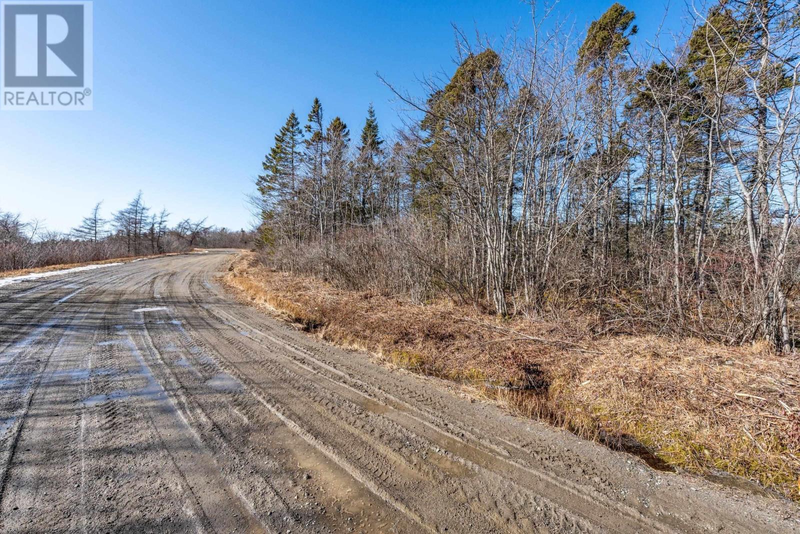 Lot 1 Felix Road, Mavillette, Nova Scotia  B5A 5B3 - Photo 13 - 202403542