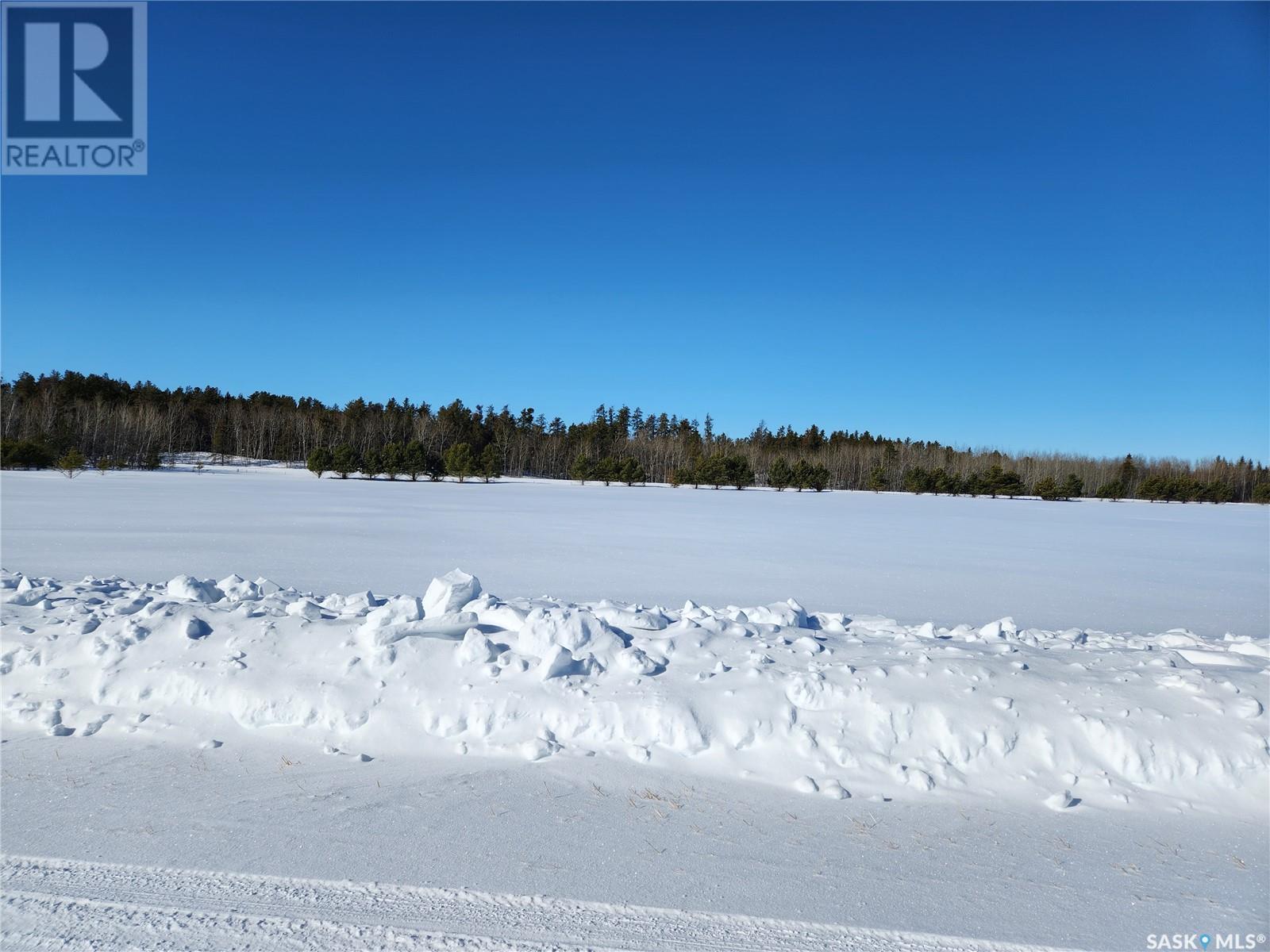 13 Rolling Pines Drive, Nipawin Rm No. 487, Saskatchewan  S0E 1E0 - Photo 14 - SK959879