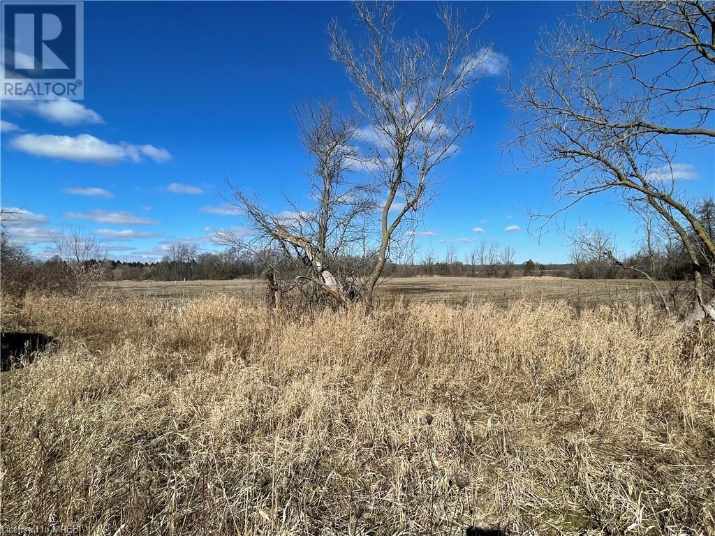 43634 Highway #3 Highway, Wainfleet, Ontario  L0S 1V0 - Photo 10 - 40546842