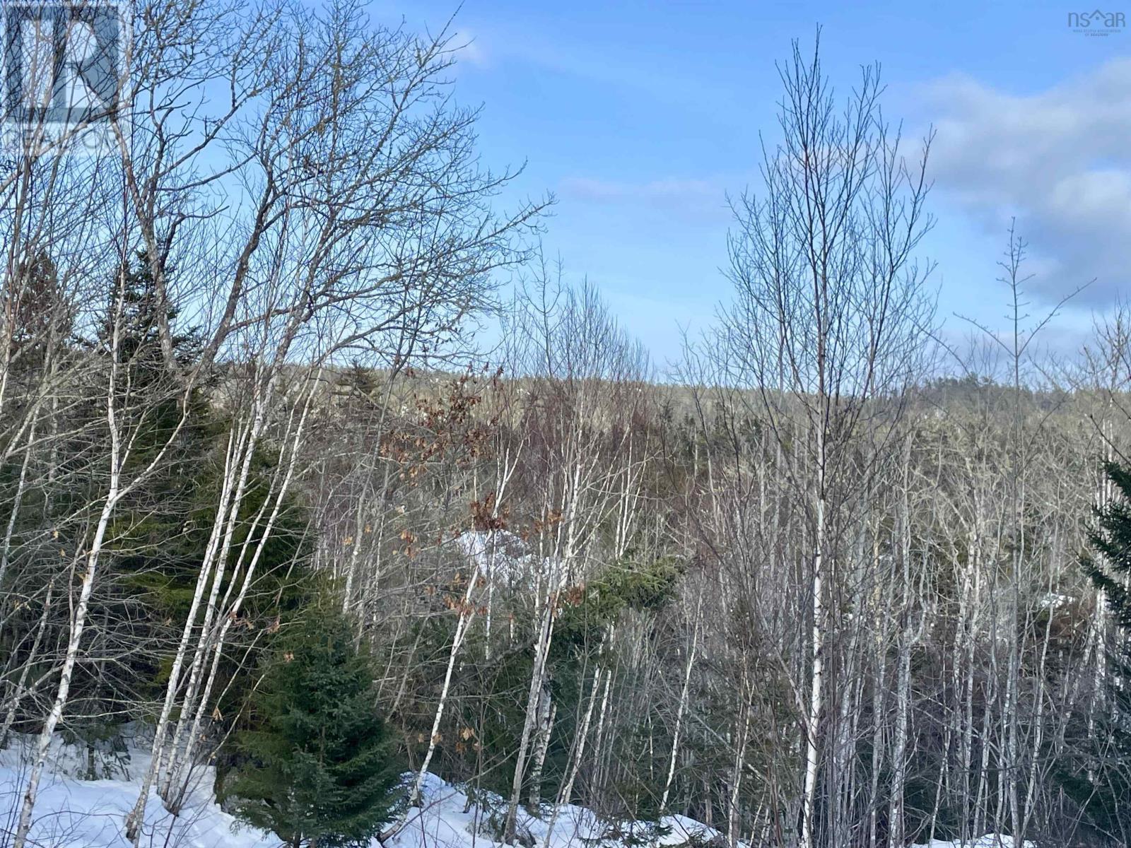 No 357 Highway, Meaghers Grant, Nova Scotia  B0J 2L0 - Photo 11 - 202403554