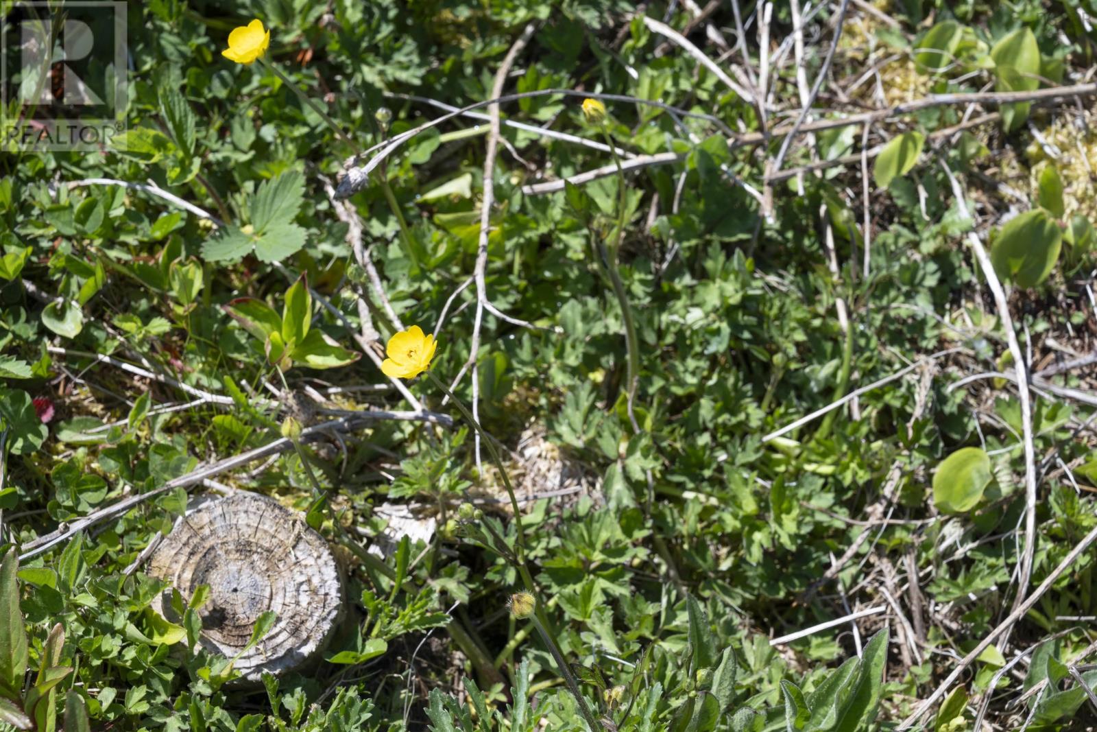 No 357 Highway, Meaghers Grant, Nova Scotia  B0J 2L0 - Photo 12 - 202403554