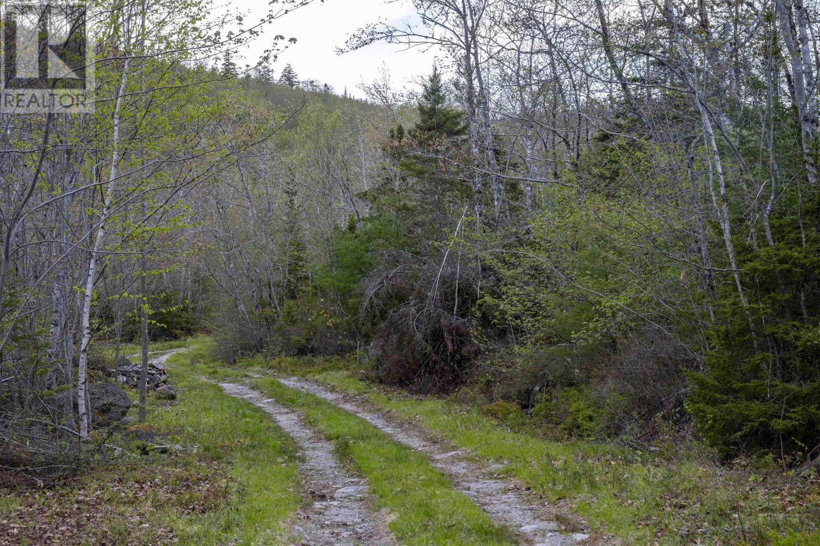 No 357 Highway, Meaghers Grant, Nova Scotia  B0J 2L0 - Photo 14 - 202403554