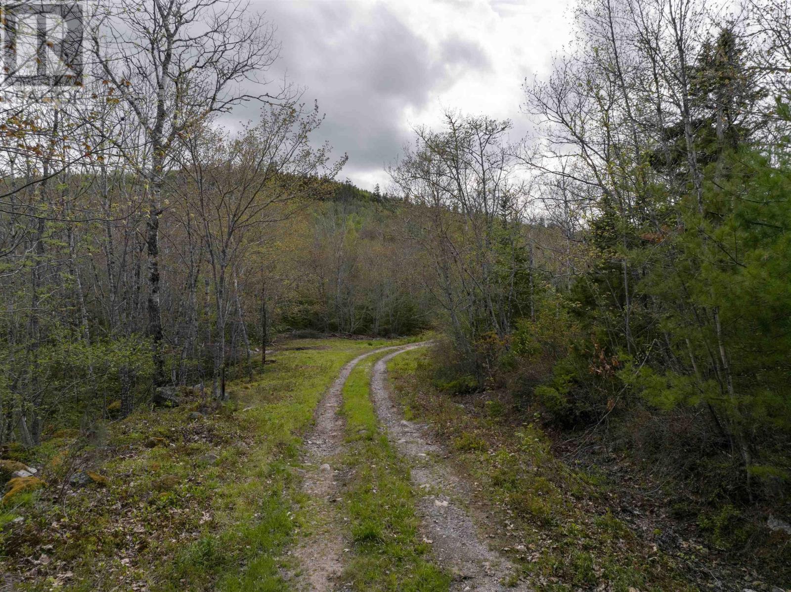 No 357 Highway, Meaghers Grant, Nova Scotia  B0J 2L0 - Photo 15 - 202403554