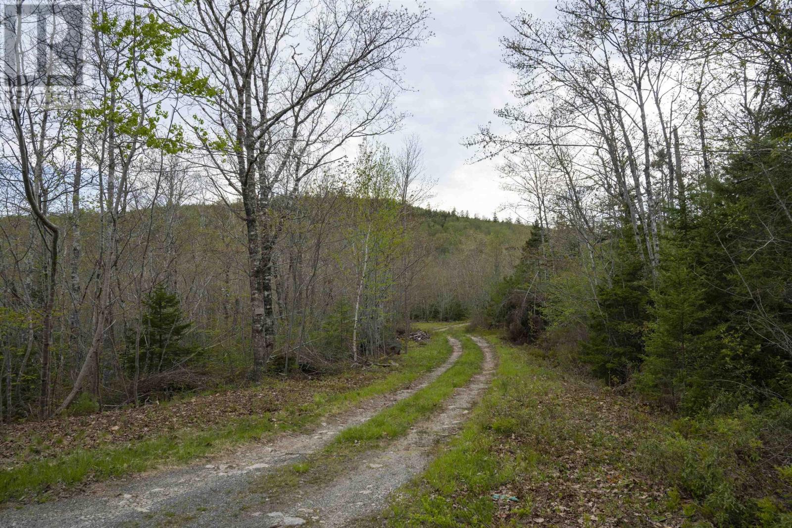 No 357 Highway, Meaghers Grant, Nova Scotia  B0J 2L0 - Photo 2 - 202403554