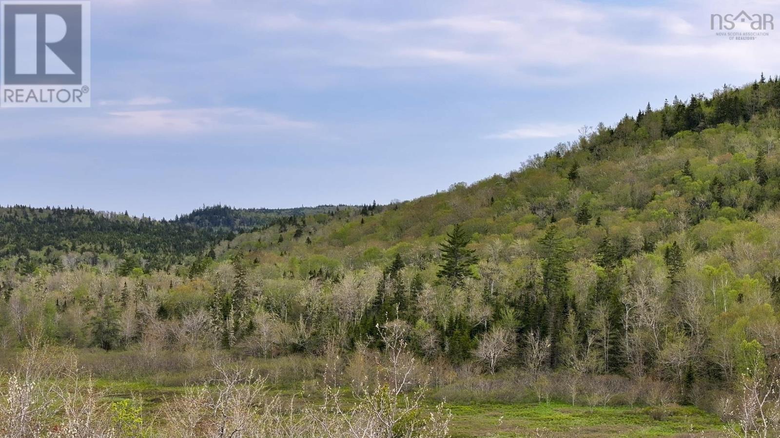 No 357 Highway, Meaghers Grant, Nova Scotia  B0J 2L0 - Photo 3 - 202403554