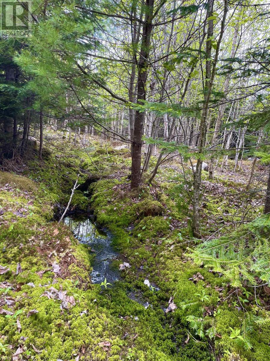 No 357 Highway, Meaghers Grant, Nova Scotia  B0J 2L0 - Photo 5 - 202403554