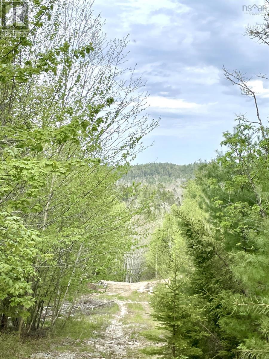 No 357 Highway, Meaghers Grant, Nova Scotia  B0J 2L0 - Photo 7 - 202403554