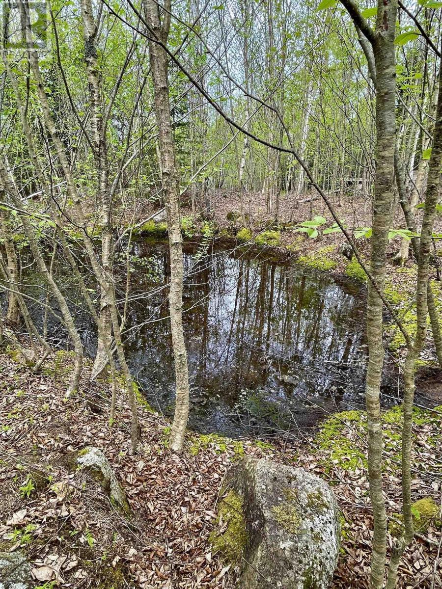 No 357 Highway, Meaghers Grant, Nova Scotia  B0J 2L0 - Photo 9 - 202403554