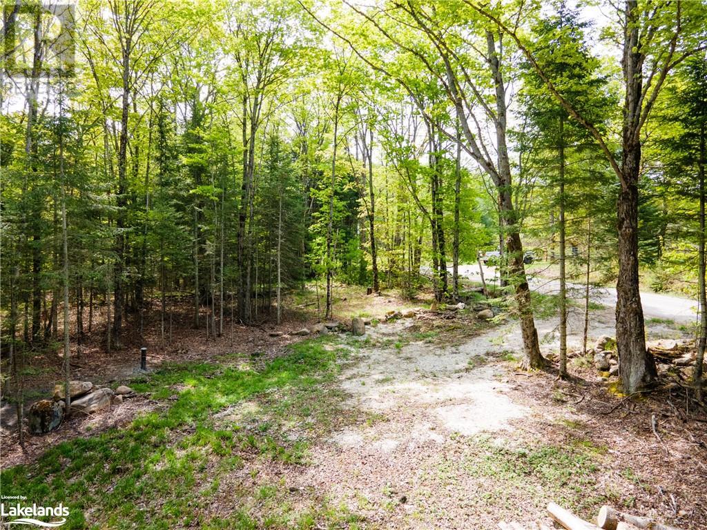 1133 Bushwolf Lake Road, Haliburton, Ontario  K0M 1S0 - Photo 12 - 40533750