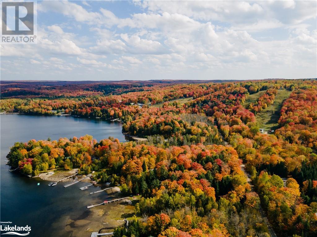 1133 Bushwolf Lake Road, Haliburton, Ontario  K0M 1S0 - Photo 21 - 40533750