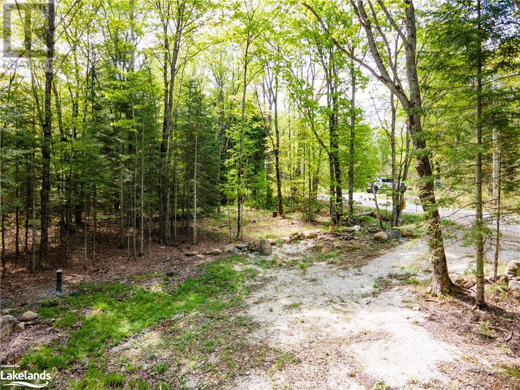 1133 Bushwolf Lake Road, Haliburton, Ontario  K0M 1S0 - Photo 11 - 40533750