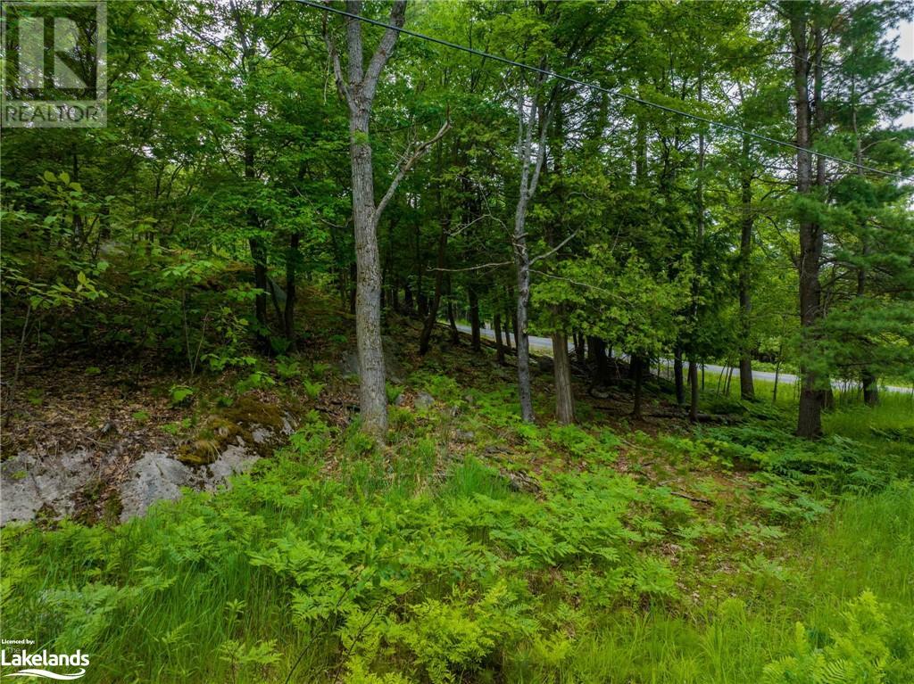 13 Rockcliffe Drive, Carling, Ontario  P0G 1G0 - Photo 13 - 40546551