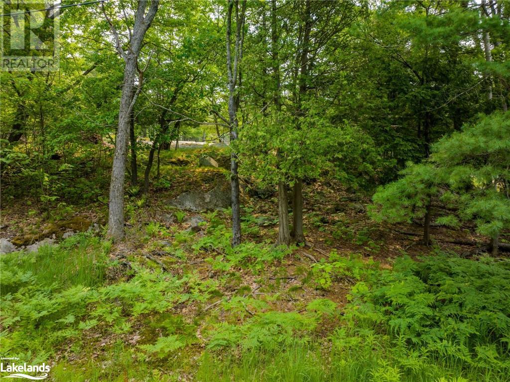 13 Rockcliffe Drive, Carling, Ontario  P0G 1G0 - Photo 14 - 40546551