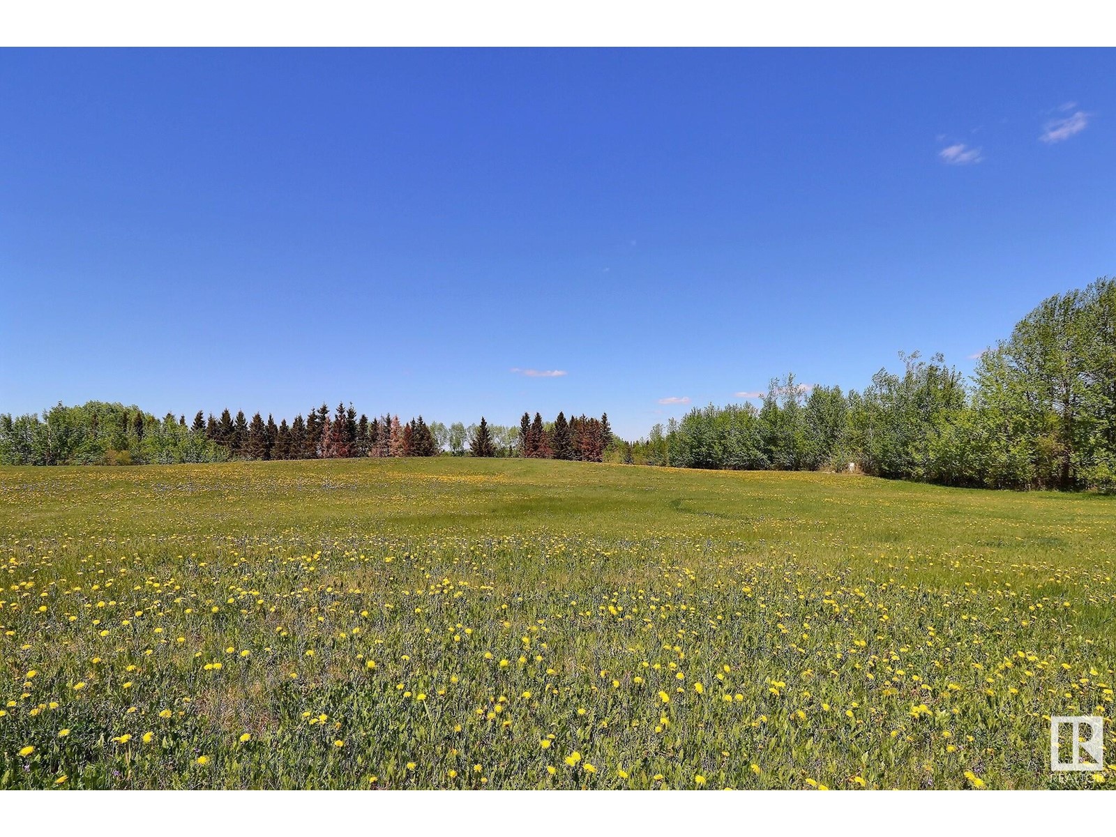 125 9125 Twp Rd 574, Rural St. Paul County, Alberta  T0A 3A0 - Photo 3 - E4374769