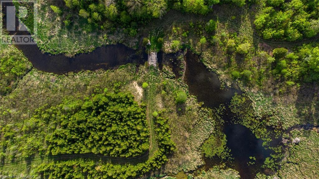 Lot 34 Dawson Road, Kemble, Ontario  N0H 1S0 - Photo 14 - 40545416