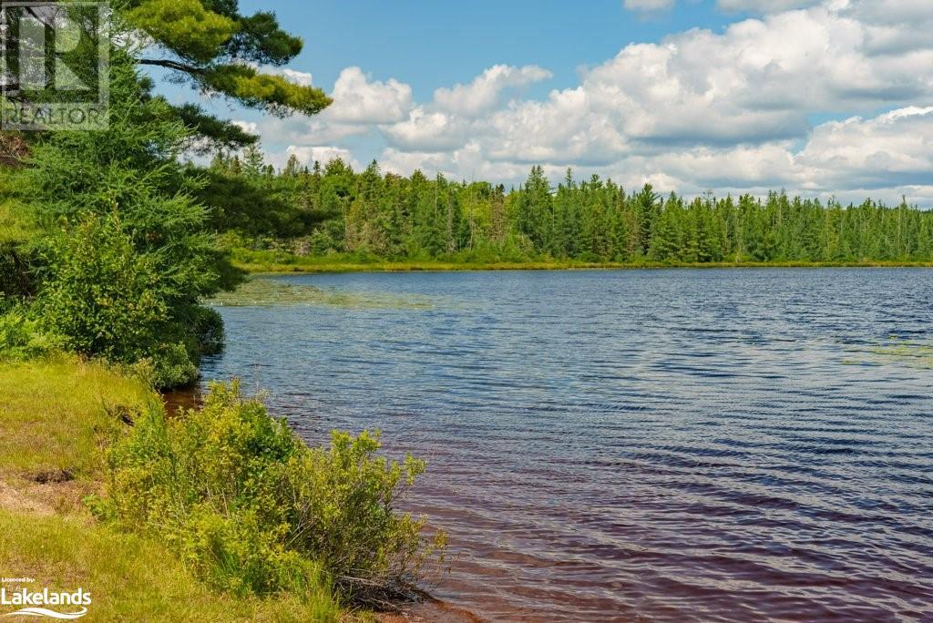 155 Old Centurian Road, Huntsville, Ontario  P1H 2N5 - Photo 45 - 40546229