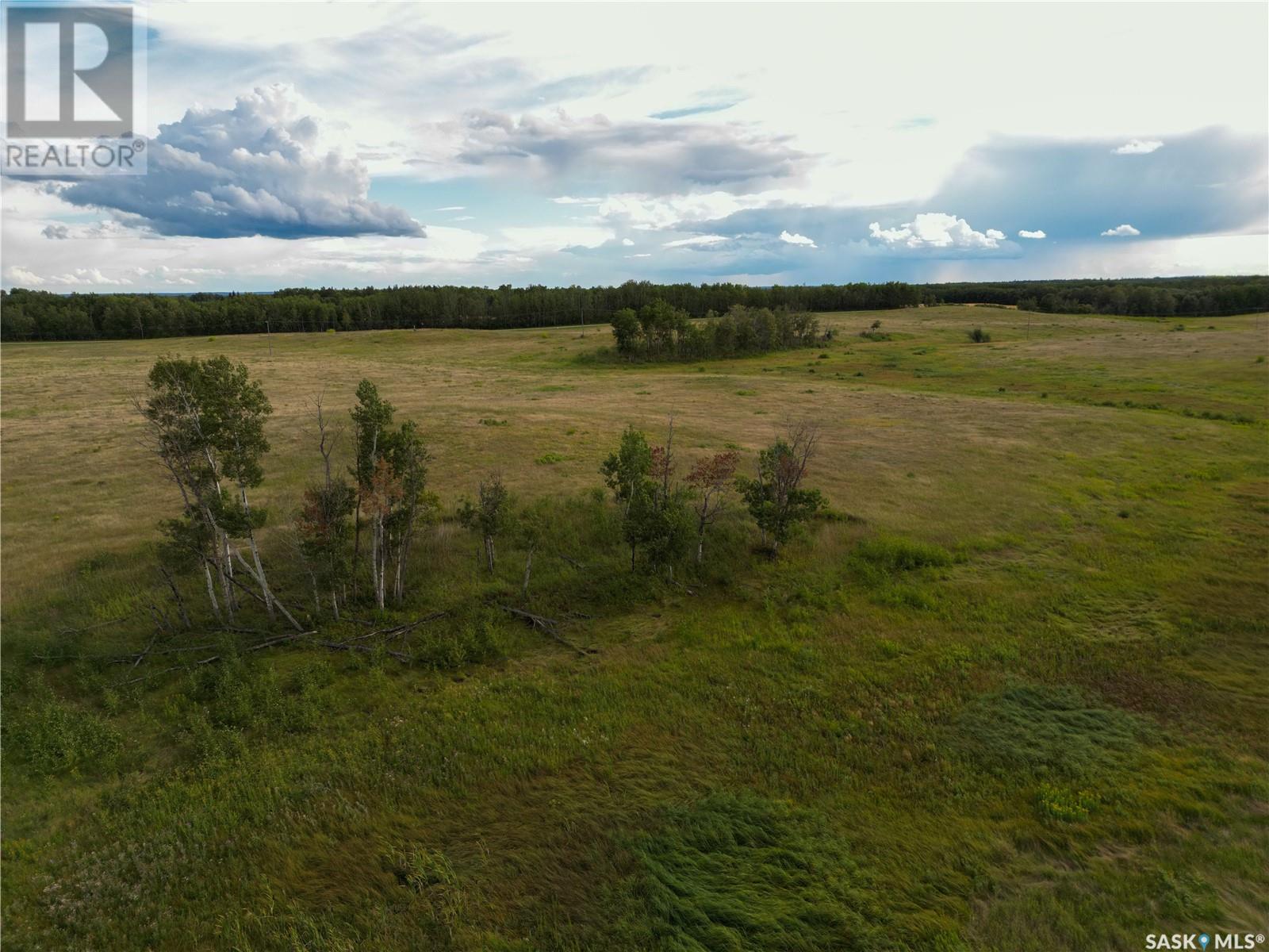 Tiegen Land, Shellbrook Rm No. 493, Saskatchewan  S0J 1G0 - Photo 9 - SK939279