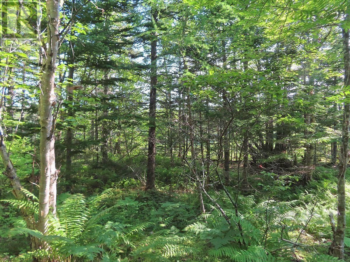 Lot5 Lower River Road, Grantville, Nova Scotia  B0E 1J0 - Photo 12 - 202403617