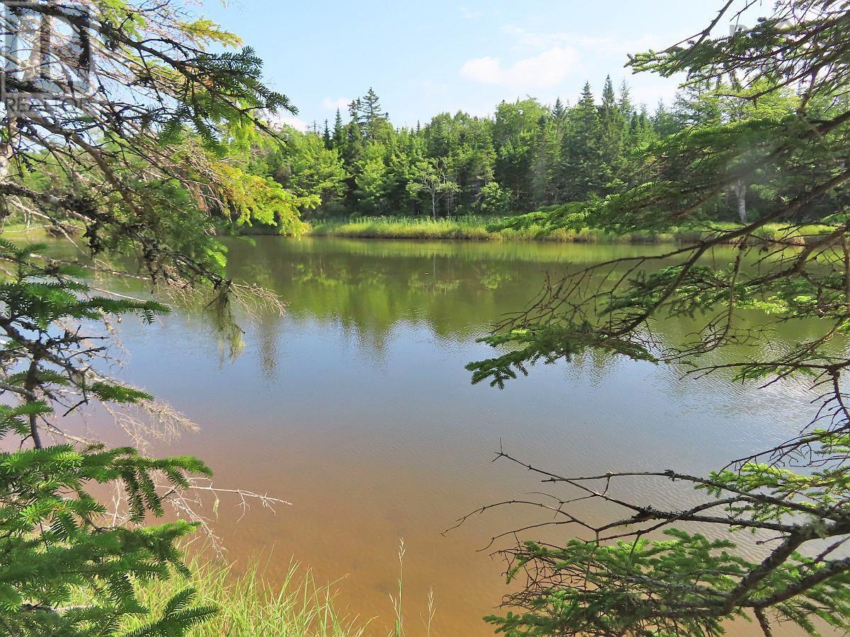 Lot5 Lower River Road, Grantville, Nova Scotia  B0E 1J0 - Photo 3 - 202403617