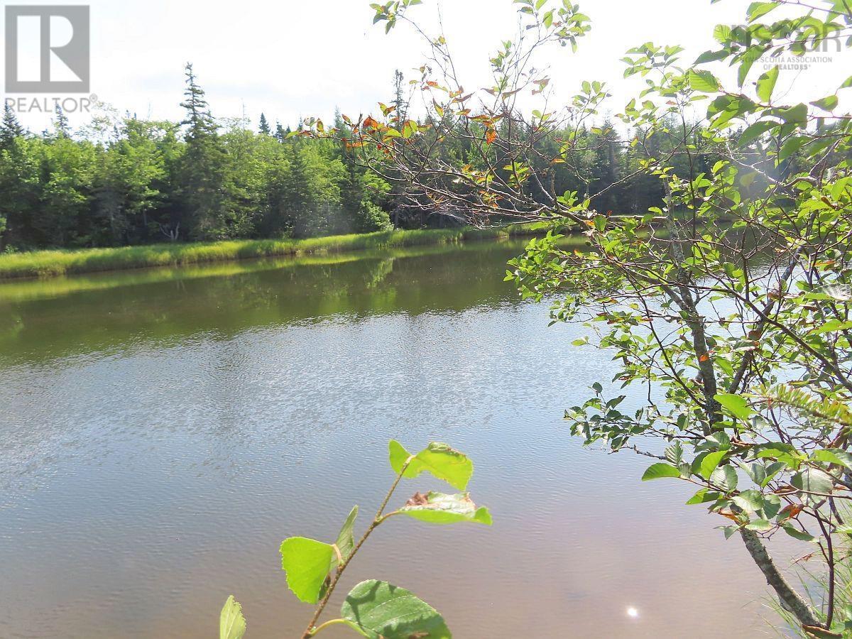 Lot5 Lower River Road, Grantville, Nova Scotia  B0E 1J0 - Photo 4 - 202403617