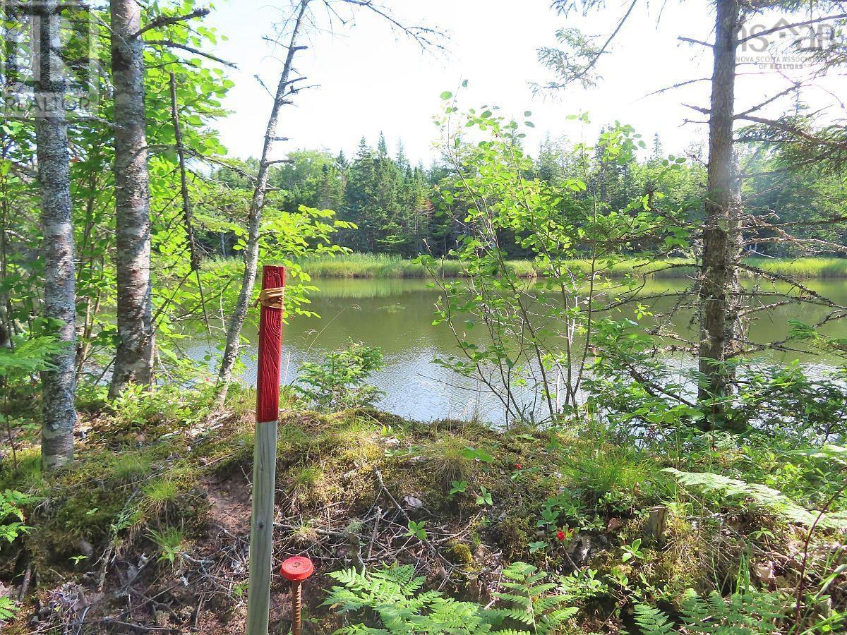 Lot5 Lower River Road, Grantville, Nova Scotia  B0E 1J0 - Photo 7 - 202403617