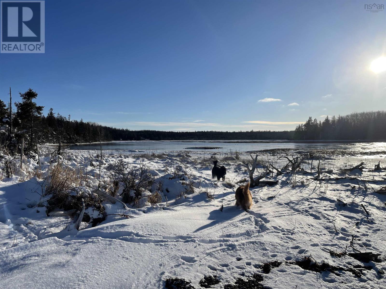 Hwy 320, D'escousse, Nova Scotia  B0E 1K0 - Photo 2 - 202403618