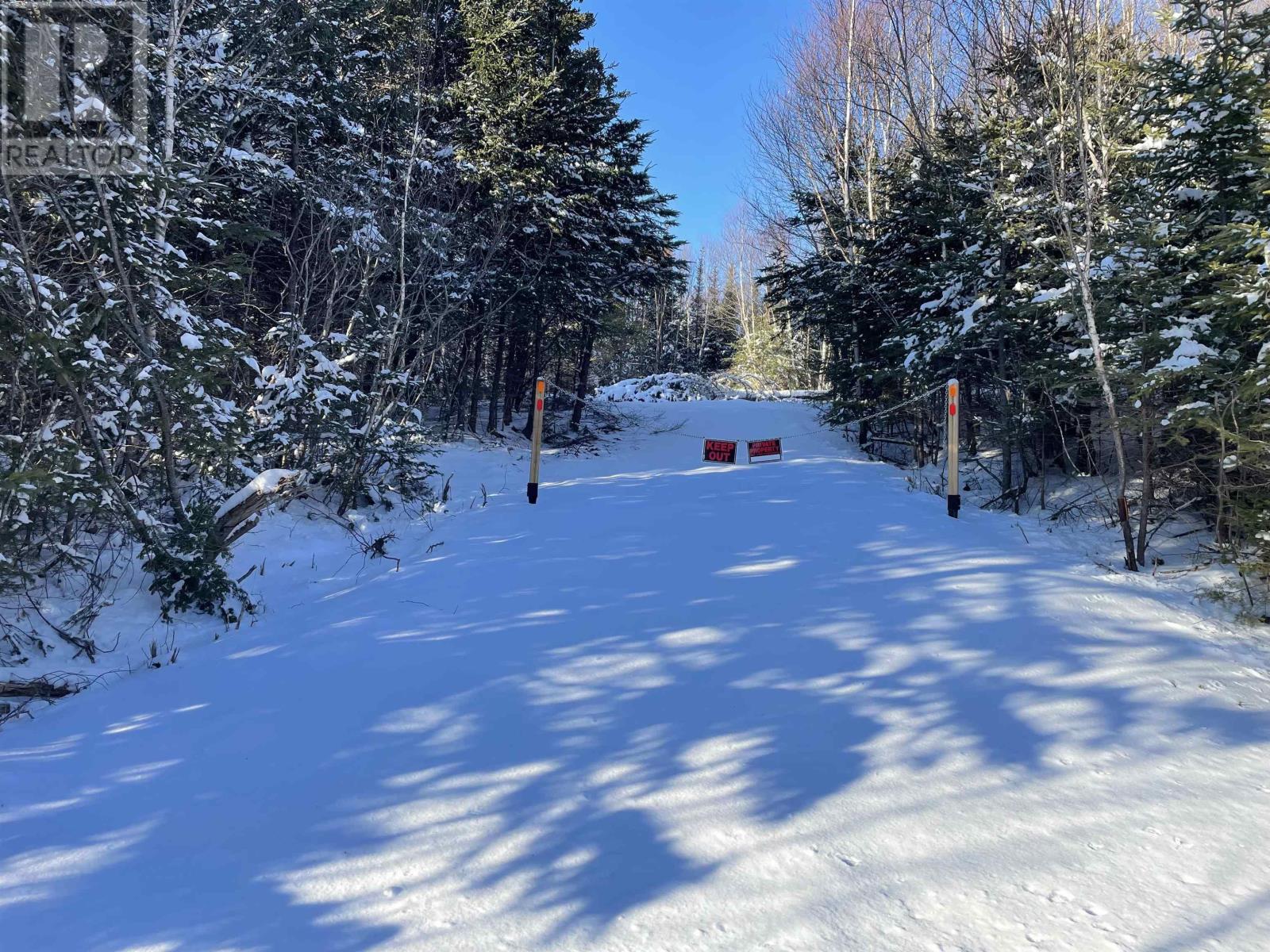 Hwy 320, D'escousse, Nova Scotia  B0E 1K0 - Photo 3 - 202403618