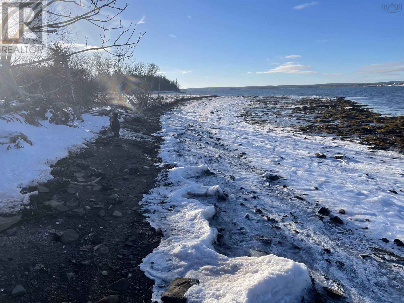 Hwy 320, D'escousse, Nova Scotia  B0E 1K0 - Photo 5 - 202403618