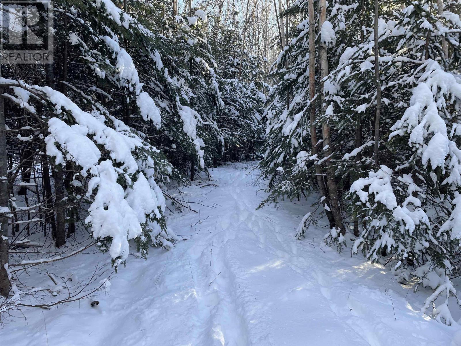 Hwy 320, D'escousse, Nova Scotia  B0E 1K0 - Photo 8 - 202403618