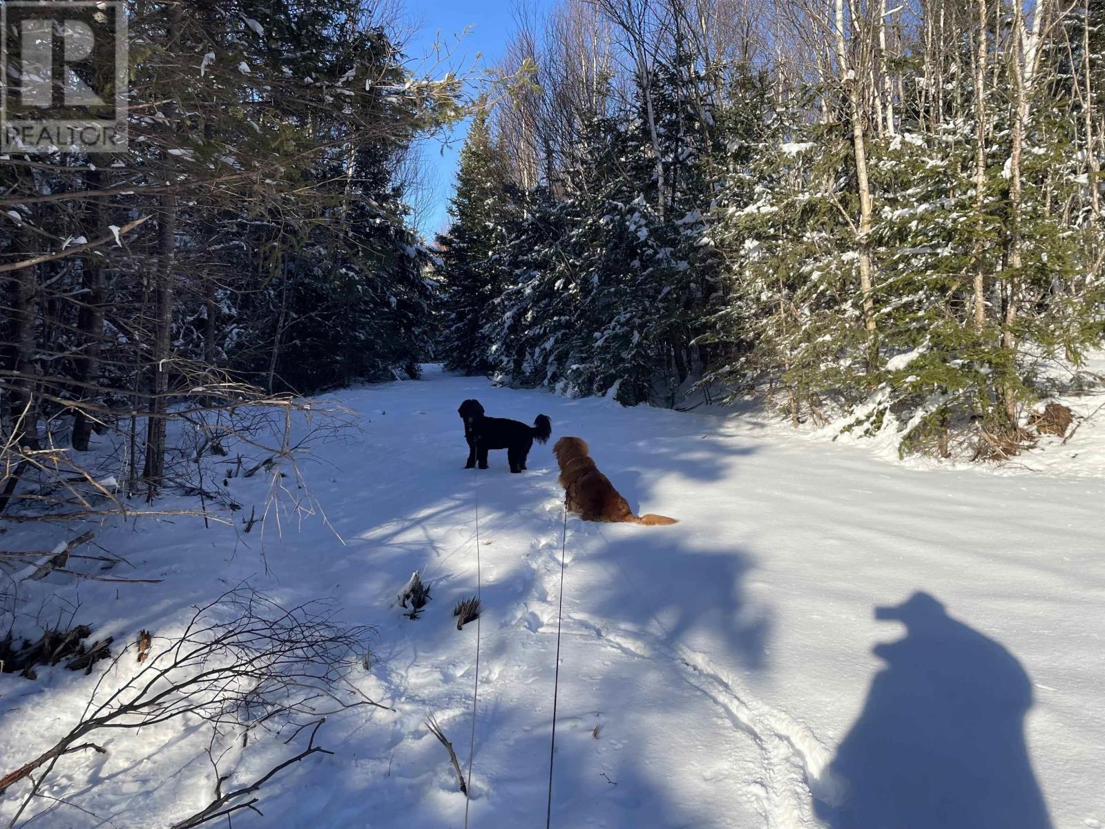 Hwy 320, D'escousse, Nova Scotia  B0E 1K0 - Photo 9 - 202403618