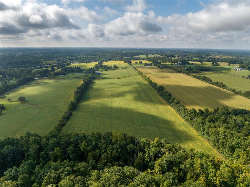 1358 #54 Highway, Caledonia, Ontario  N3W 2G9 - Photo 13 - H4186420