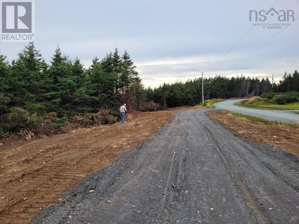 Doyle Road, Gracieville, Nova Scotia  B0E 1W0 - Photo 2 - 202403609